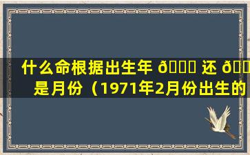 什么命根据出生年 🕊 还 🐦 是月份（1971年2月份出生的什么命）